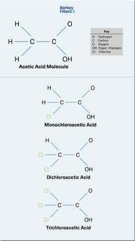 haloacetic acid molecules
